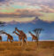 Tripo Image